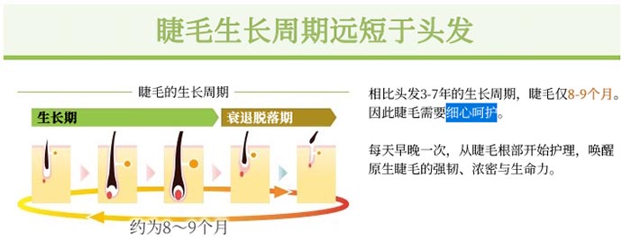 RAKUDA睫毛滋养精华液商品介绍