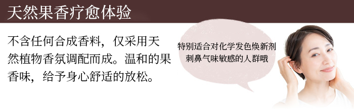 Refine便携发色焕新笔刷商品介绍