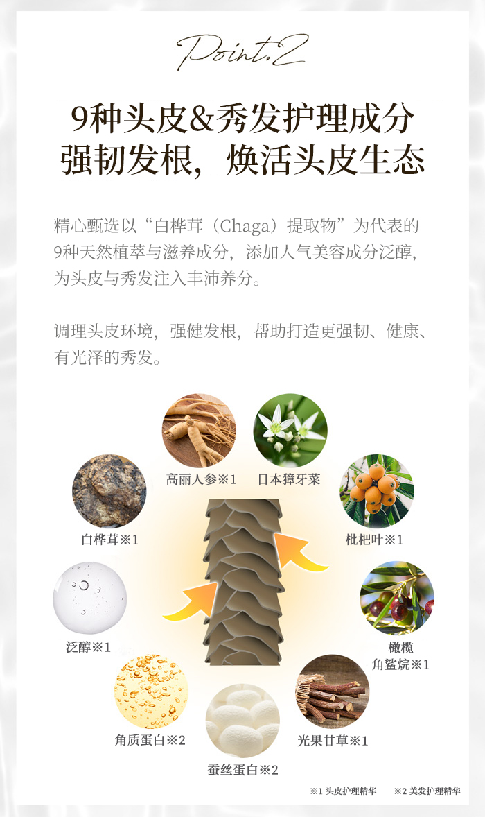 The Chaga薬用头皮护理洗发水商品介绍