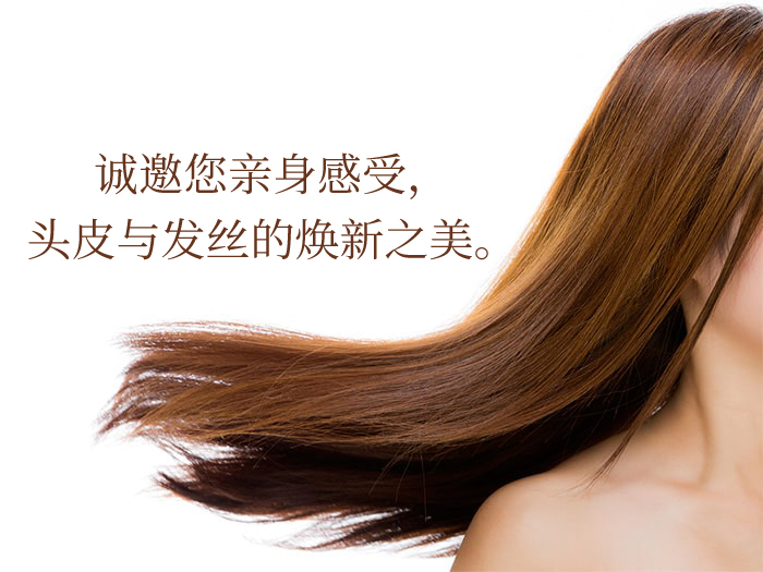 The Chaga薬用头皮护理洗发水商品介绍