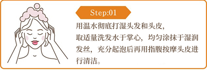 The Chaga薬用头皮护理洗发水商品介绍