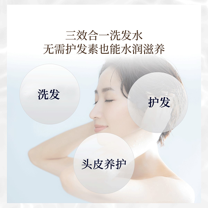 The Chaga薬用头皮护理洗发水商品介绍